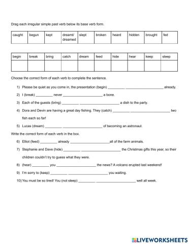 Irregular Verbs in the Present Perfect 05