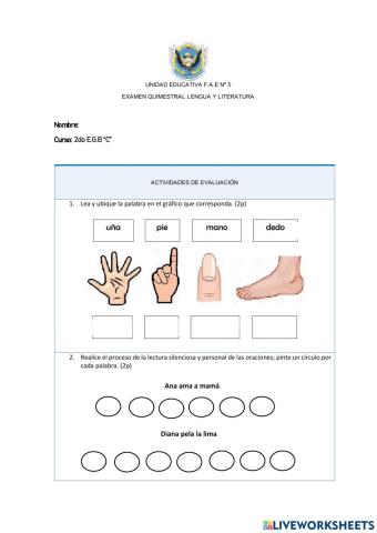 Examen quimestral lengua y literatura