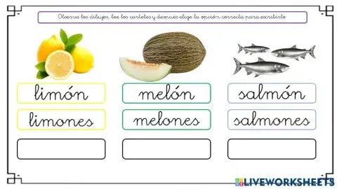 Elige el plural o singular