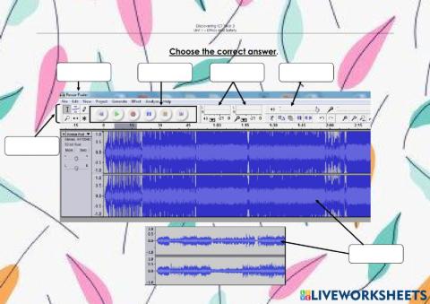The Audacity User Interface