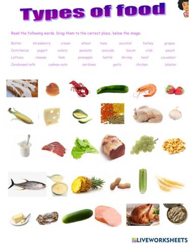 Types of. Food