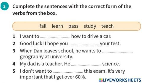 Vocabulary: EDUCATION VERBS