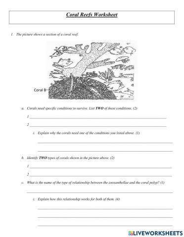 Coral Reefs Worksheet