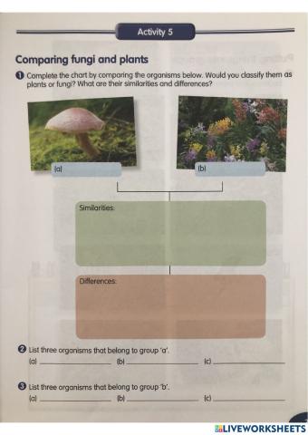 4 groups of living things