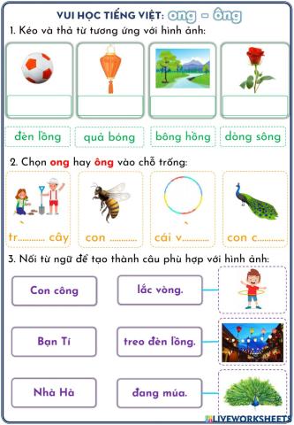 Phiếu ôn tập ong, ông