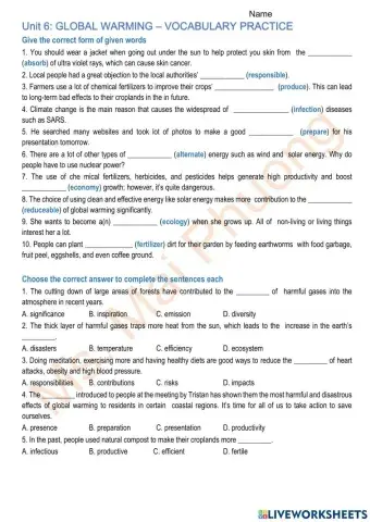 Unit 6: GLOBAL WARMING - vocabulary 2