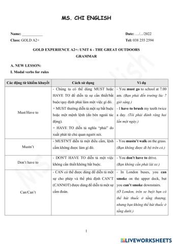 19.01.22-Gold A2+-U6-Grammar