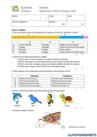 5e1 January 2022 Review