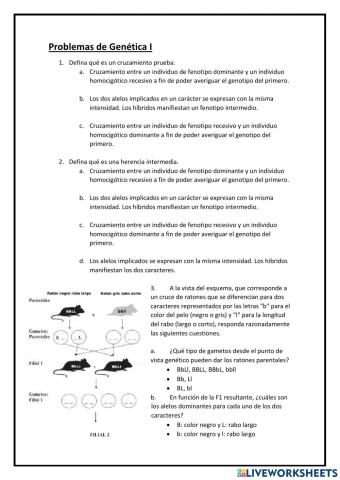 Problemas de genética I