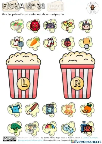 Identificación L y R