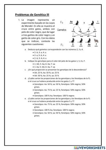 Problemas de Genética III