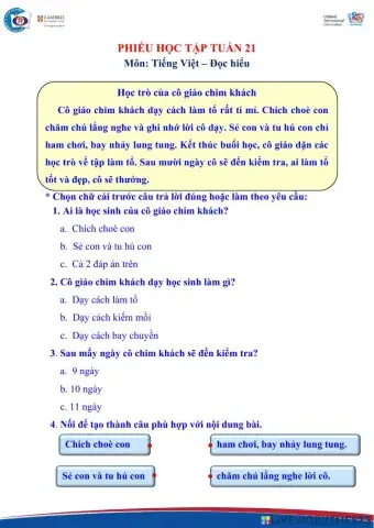 Phiếu đọc hiểu TUẦN 21