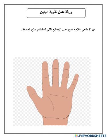 ورقة عمل تقوية اليدين