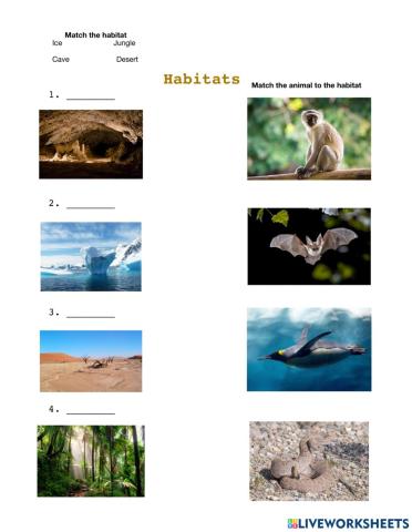 Habitats Grade 2