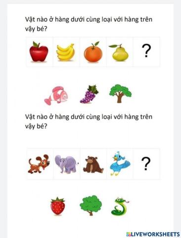 Bé học phân loại