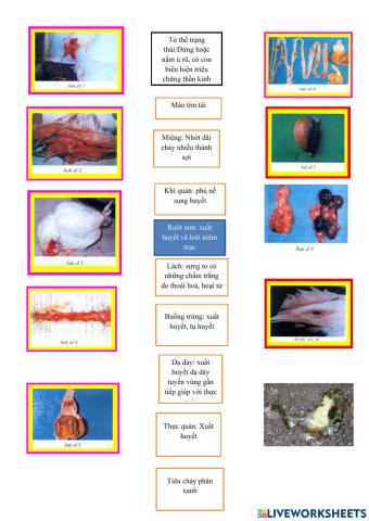 Bài 36 công nghệ 10