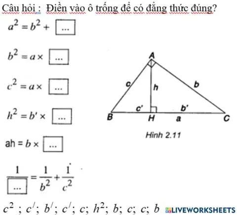 HE THUC LUONG TRONG TAM GIAC