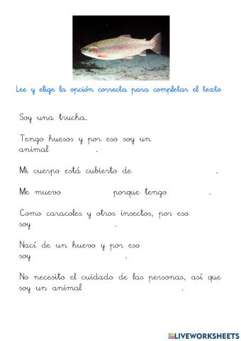 Descripción de un pez. La trucha