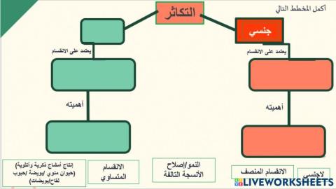 مخطط التكاثر