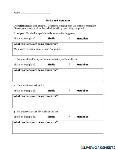 Similes and Metaphors