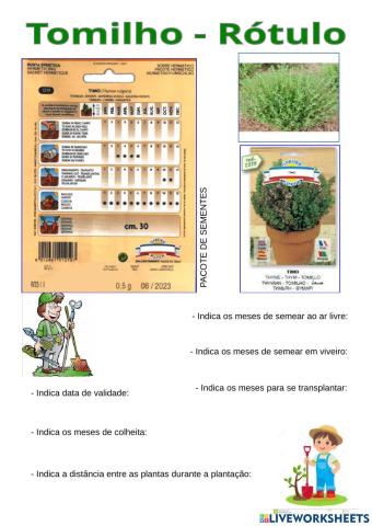 Tomilho