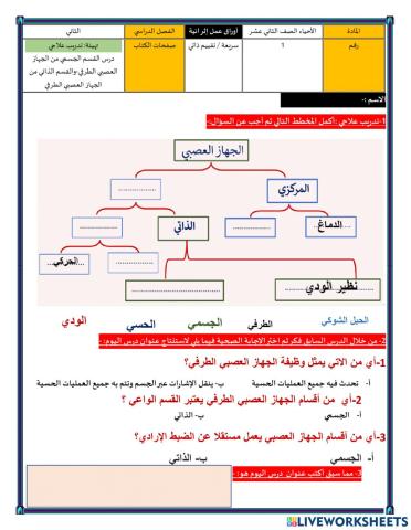 تهيئه وتدريب علاجي  درس القسم الجسمي من الجهاز العصبي الطرفي ص45-46