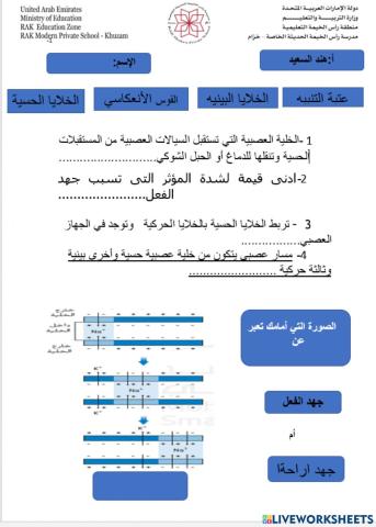 الخلايا العصبية
