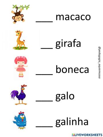 Generos masculino ou feminino