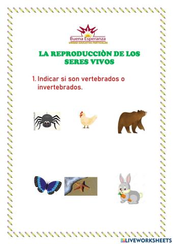 La reproducciòn de los seres vivos