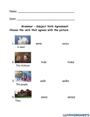 Subject Verb Agreement