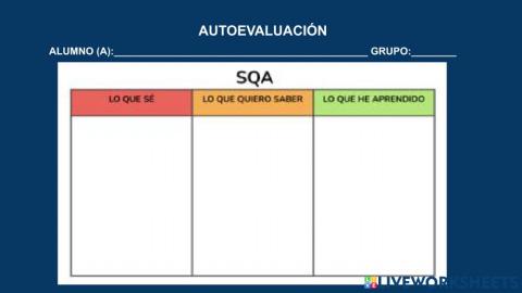 Auevaluación cuadro sqa