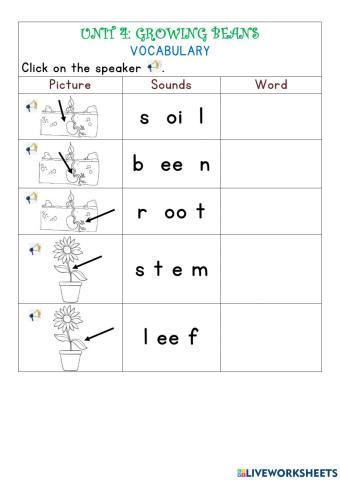 Label parts of a plant