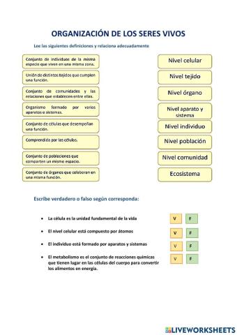 Organización de los seres vivos
