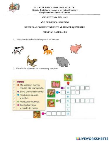 Prueba parcial CC.NN