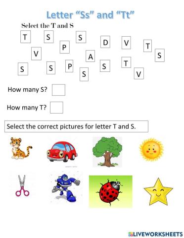 Phonics S and T