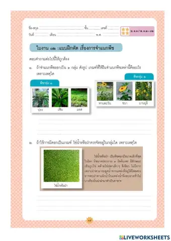 ใบงาน3การจำแนกพืช