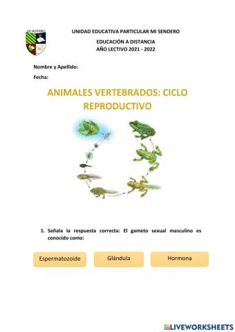 Reproducción animales vertebrados