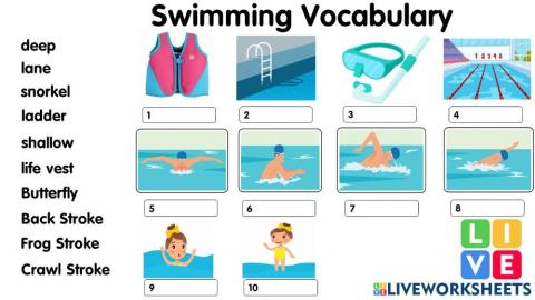 Swimming Vocabulary