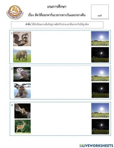 เกมการศึกษา จับคุ่ภาพสัตว์ที่ออกหากินเวลากลางวันกลางคืน