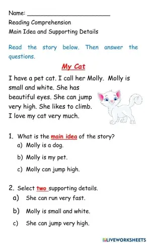 Main Idea and Supporting Details