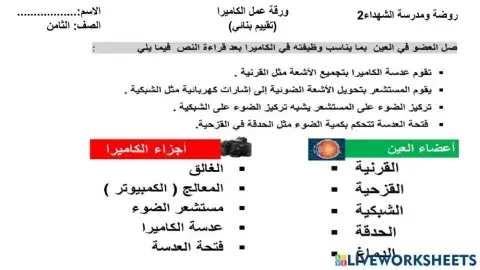 تقييم بنائي