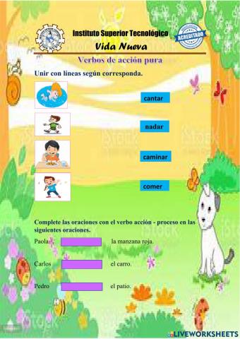 Clasificación del verbo