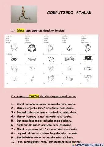 Gorputz-atalak hiztegia