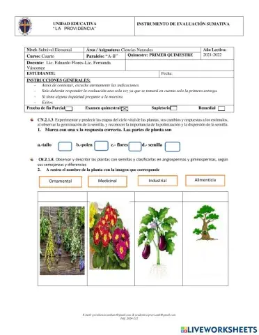 Ciencias naturales 4to año