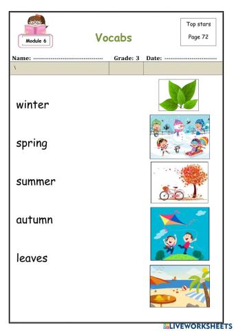 Module 6 vocabulary part 2