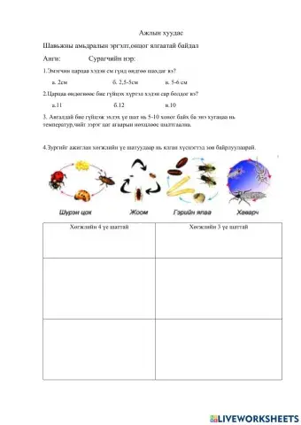 Ажлын хуудас