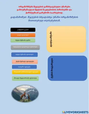 Ნიადაგი და წყალი - ეკოფაქტორებია