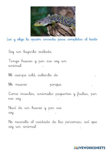 Descripción de un reptil. El lagarto ocelado