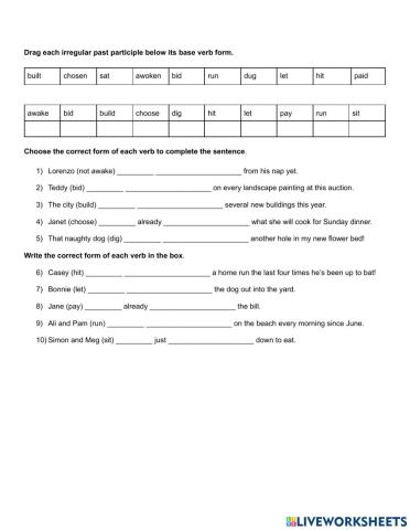 Irregular Verbs in the Present Perfect 06