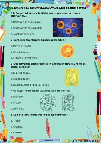 La organización de los seres vivos